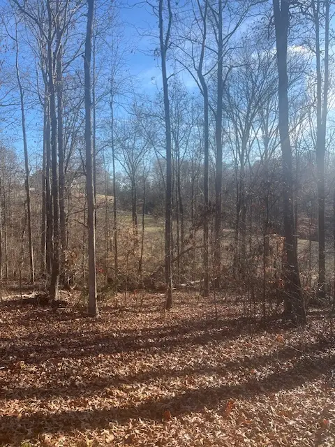 109 Falls Drive, Westminster, SC 29693 - Image #1