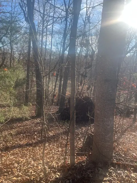 109 Falls Drive, Westminster, SC 29693 - Image #2