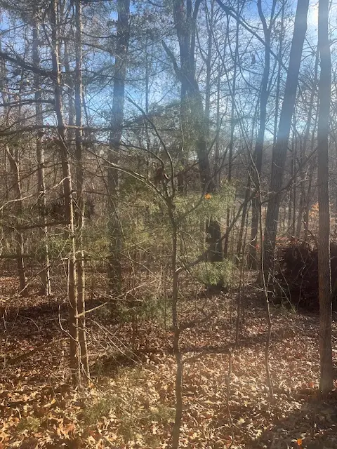 109 Falls Drive, Westminster, SC 29693 - Image #3