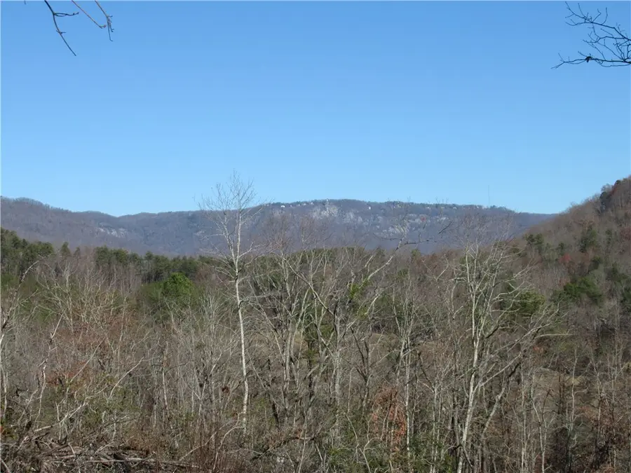 Tracts 34, 35, 36 Curts Way, Cleveland, SC 29635 - #2