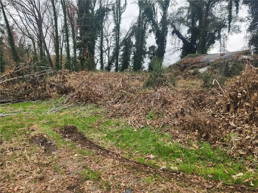 103 Jenkins Place, Clemson, SC 29631 - Image #3