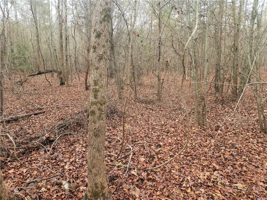 00 Scott Lane, Pelzer, SC 29669 - Image #3