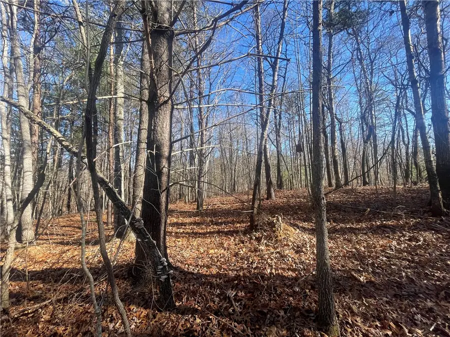 00 Cassidy Bridge And Buckeye Ridge Road, Mountain Rest, SC 29664 - Image #3