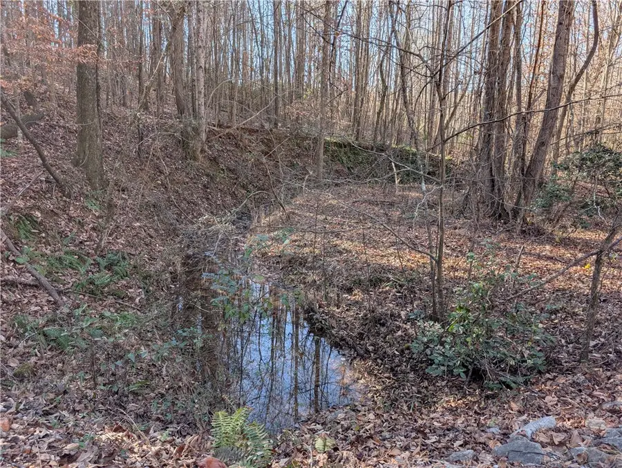 2475 Pumpkintown Highway, Pickens, SC 29671 - #3