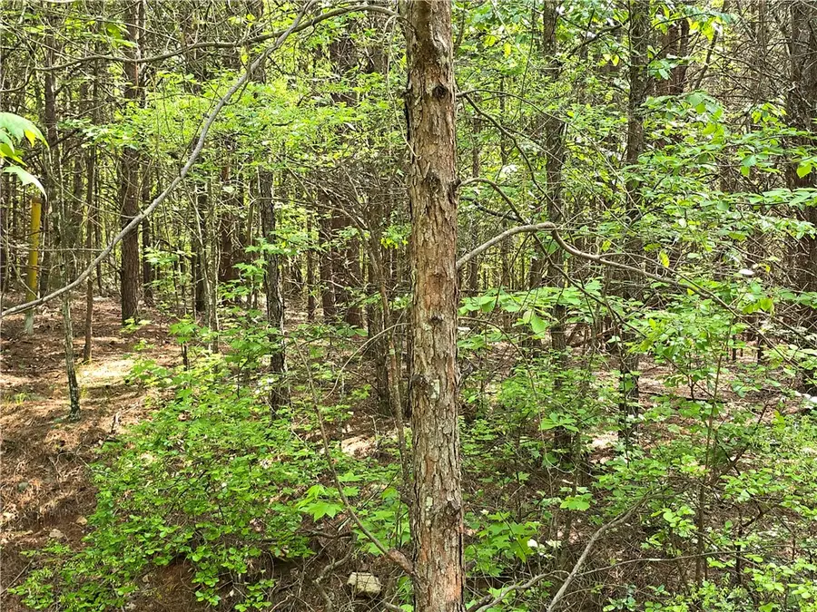 110 Pleasant Valley Drive, Anderson, SC 29621 - Image #2