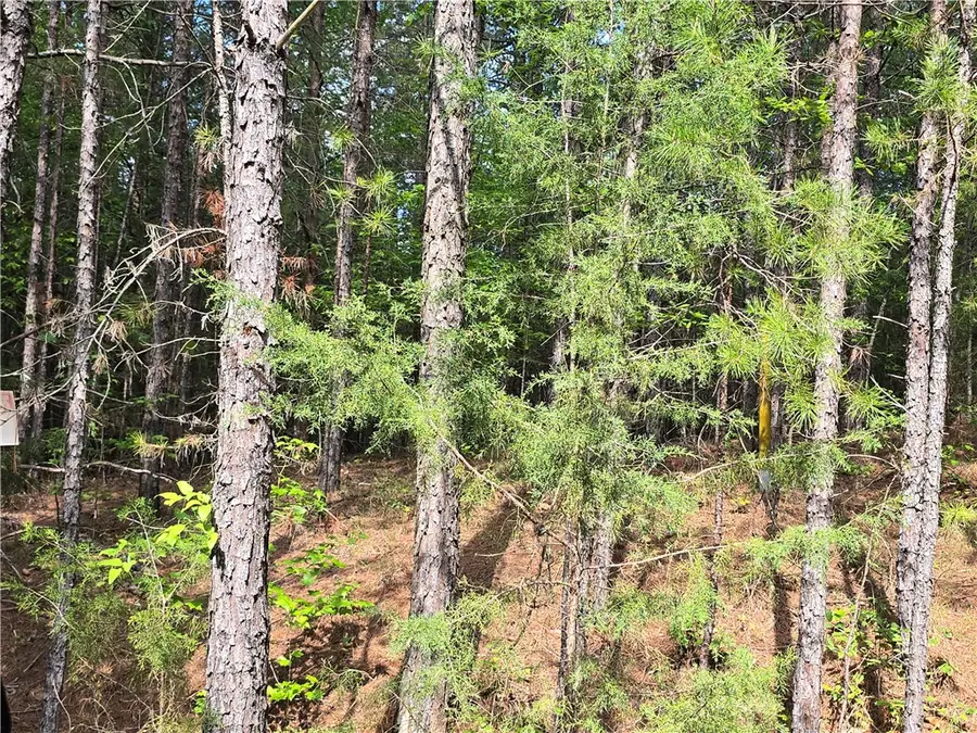 120 Rolling Hill Drive, Anderson, SC 29621 - Image #3