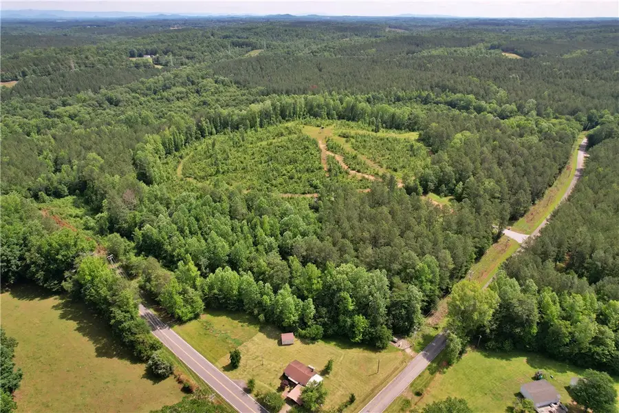 Lot 1 Mill Pine Road, Liberty, SC 29657 - #2
