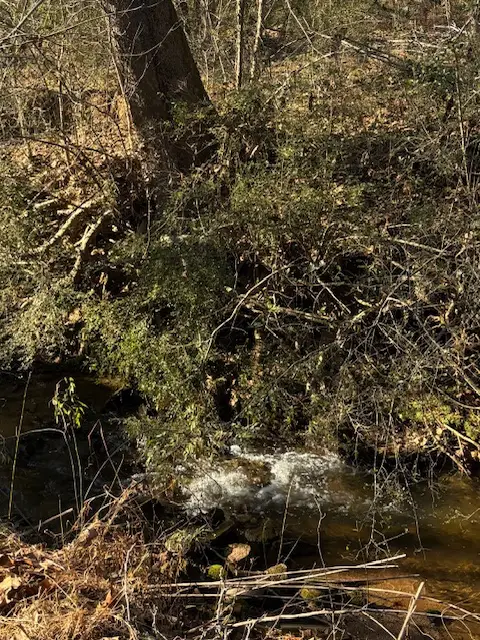 173 Glendale Lane, Easley, SC 29640 - Image #2