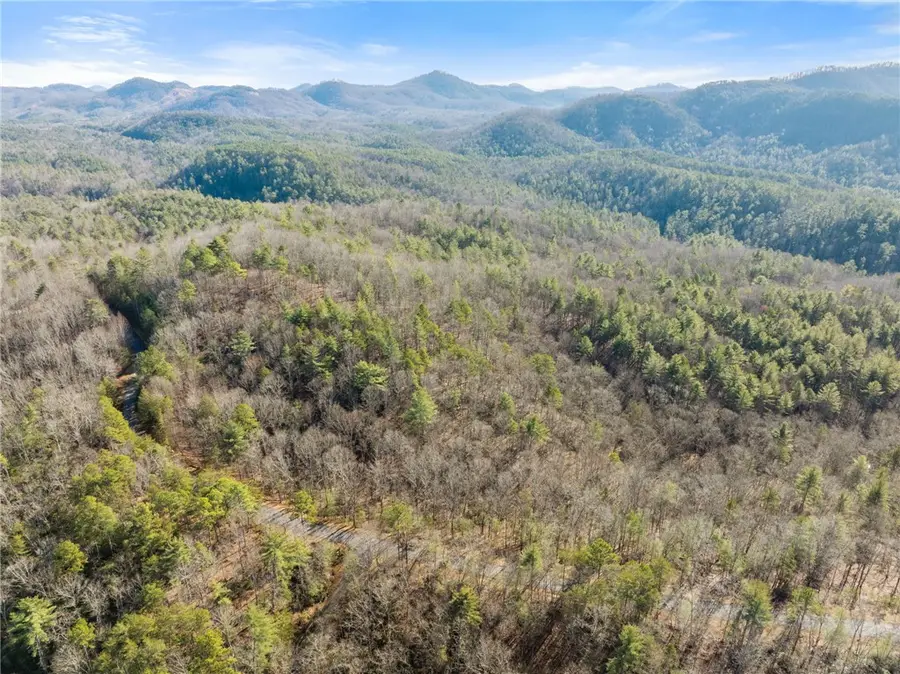 163 Eastatoe Parkway, Sunset, SC 29685 - Image #2