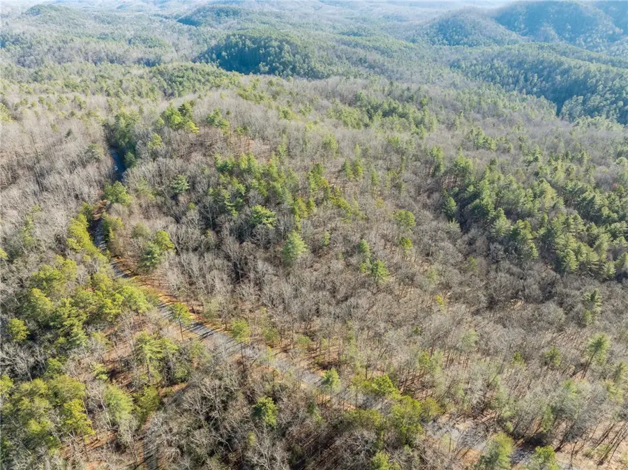 163 Eastatoe Parkway, Sunset, SC 29685 - Image #3