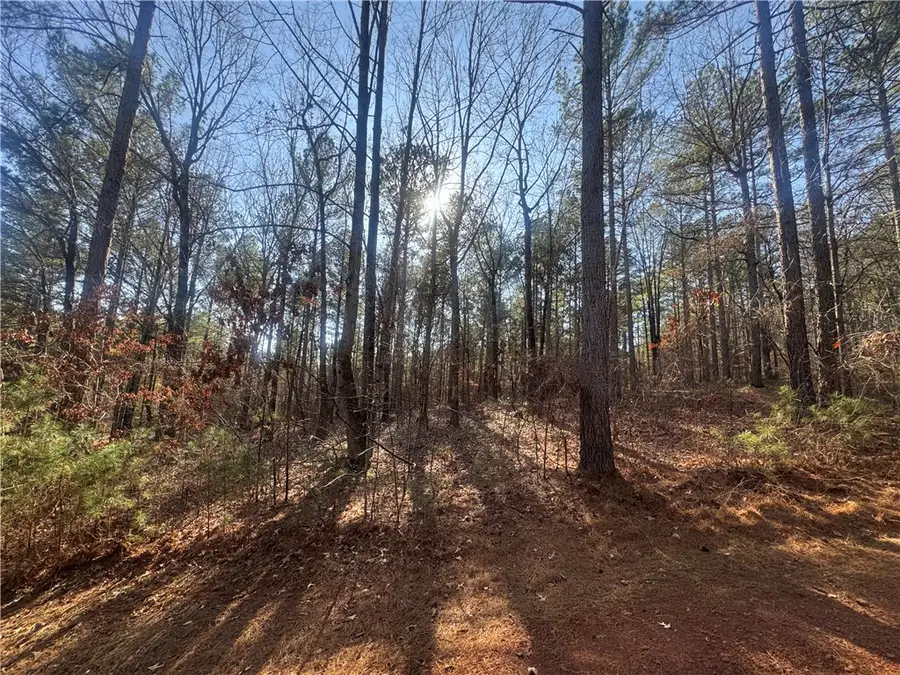 704 Timberbrook Trail, Salem, SC 29676 - Image #3