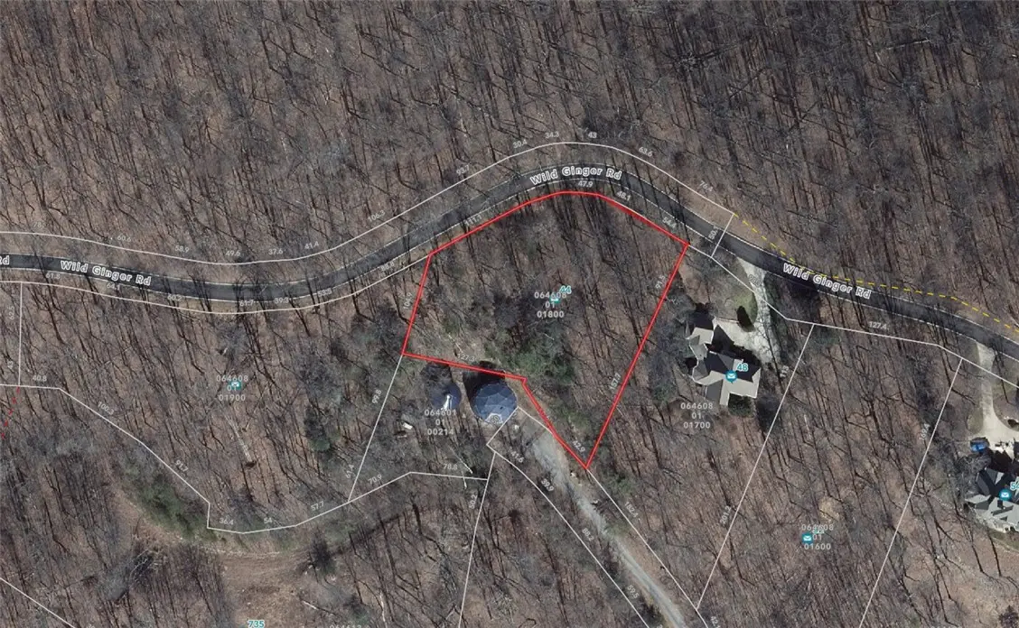 44 Wild Ginger Road, Landrum, SC 29356 - #1