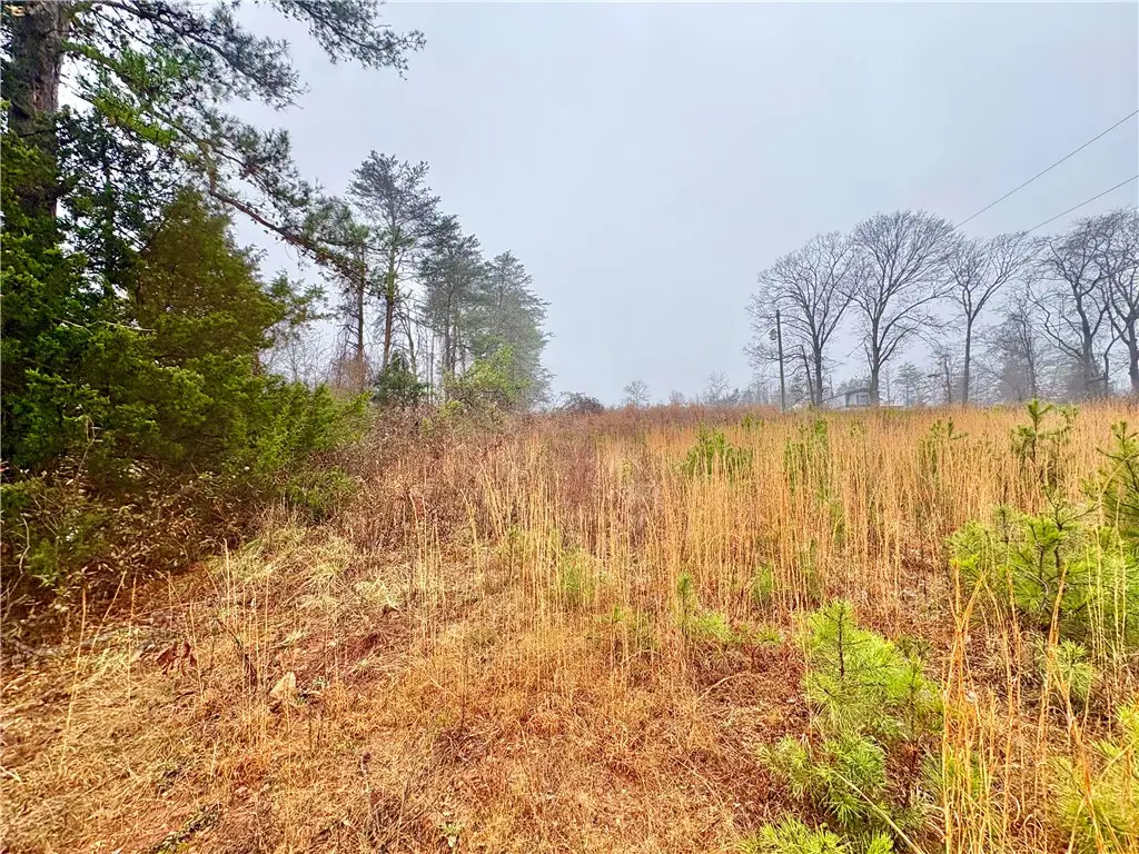 405 (Lot 5) Stewart Gin Road #Lot 5, Liberty, SC 29657 - #1