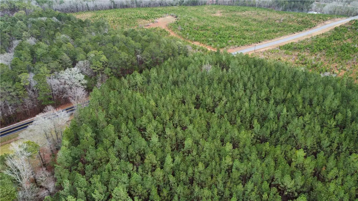 00 Chappells Hwy, Chappells, SC 29037 - #1