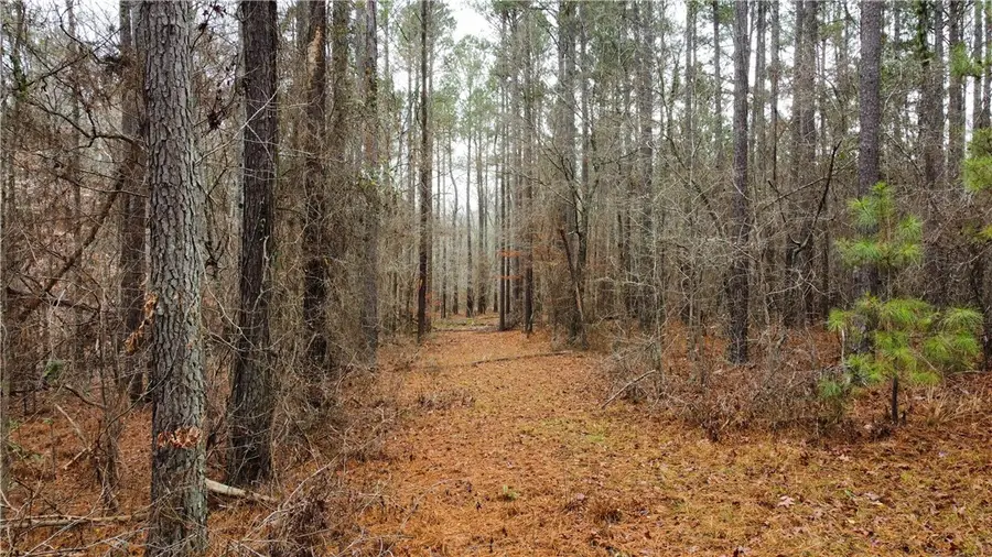 00 Chappells Hwy, Chappells, SC 29037 - #2