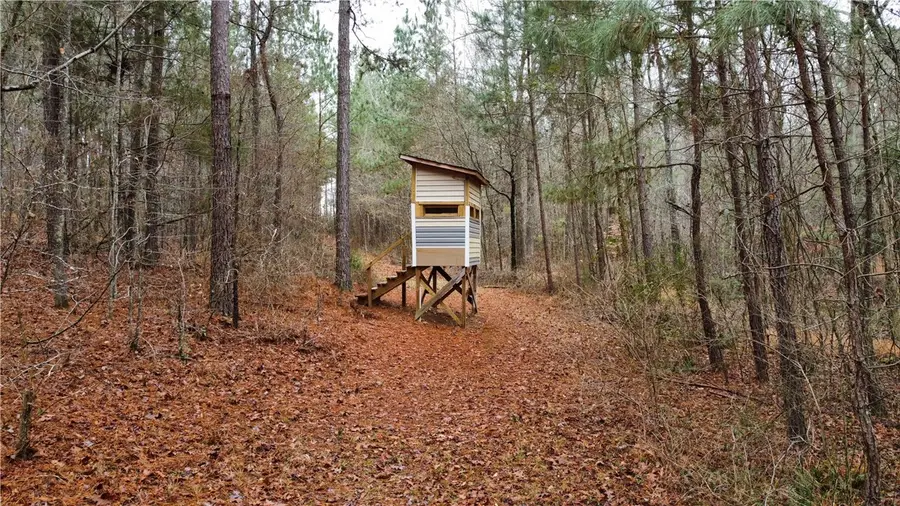 00 Chappells Hwy, Chappells, SC 29037 - #3