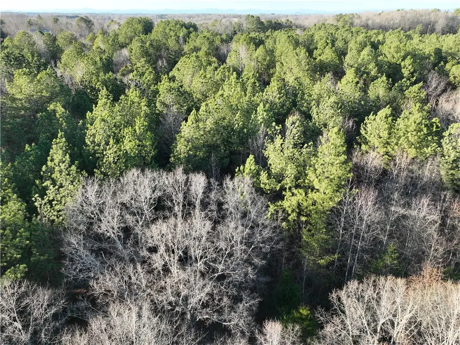 6620 Liberty Highway, Pendleton, SC 29670 - #3