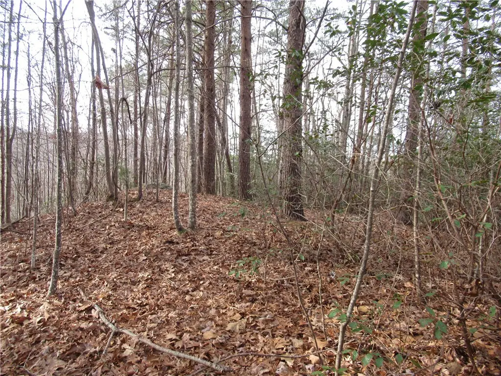 110 Fireside Lane, Pickens, SC 29671 - Image #1