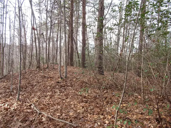 110 Fireside Lane, Pickens, SC 29671