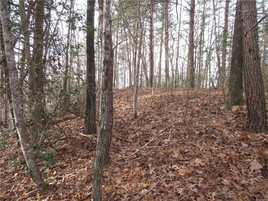 110 Fireside Lane, Pickens, SC 29671 - Image #3