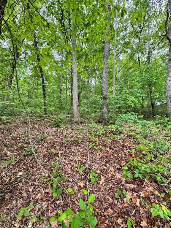 1040 Trailwinds Drive, Westminster, SC 29693 - Image #3