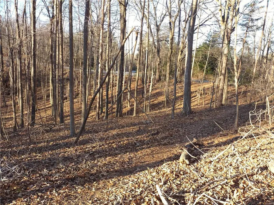 00 Sequayah Drive, Fair Play, SC 29643 - Image #2