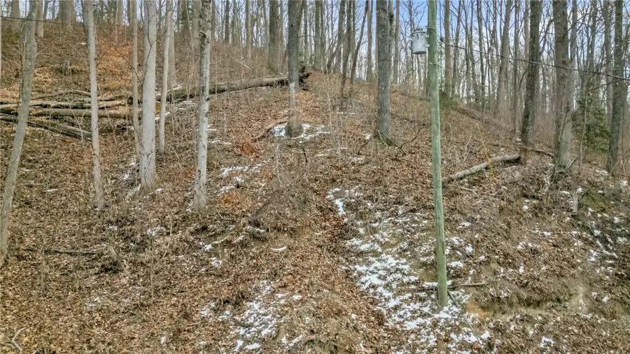 29 Forest Drive, Travelers Rest, SC 29690 - Image #3