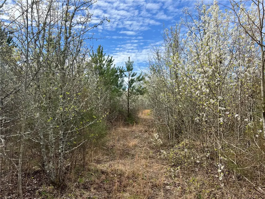 00 Keys Street, Anderson, SC 29624 - #3