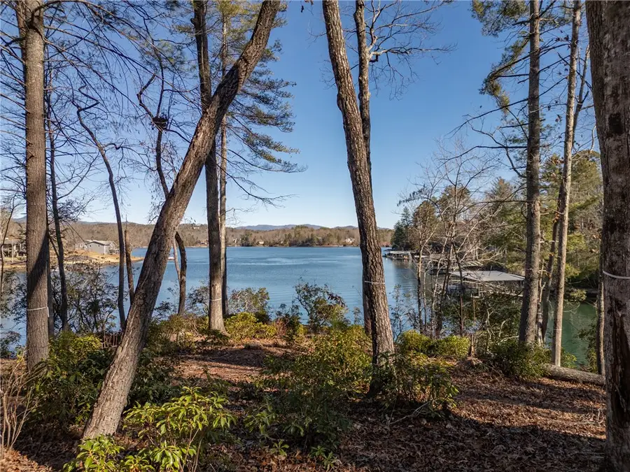 Lot 54 - 507 Turtlehead Drive, Salem, SC 29676 - Image #2