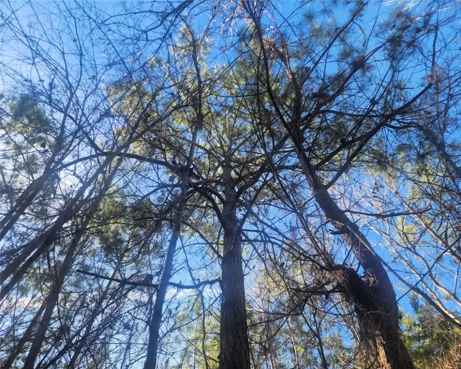 00 Holiday Dam Road, Belton, SC 29627 - Image #2