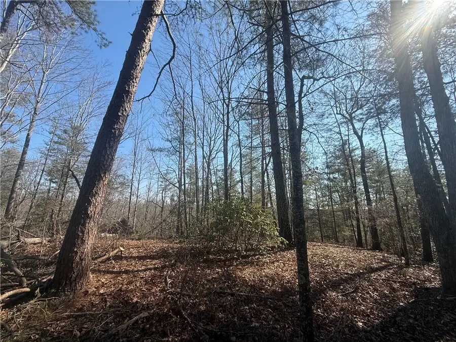 318 Ginseng Drive, Sunset, SC 29685 - #3