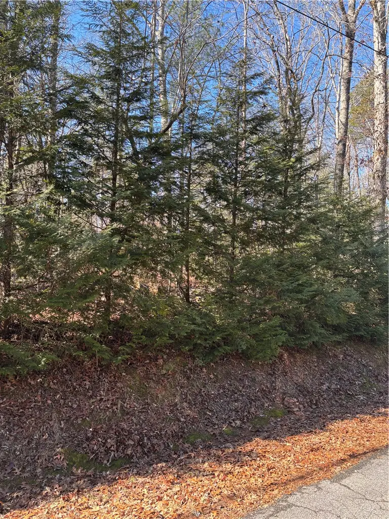 686 W Cove Drive, Mountain Rest, SC 29664 - #2