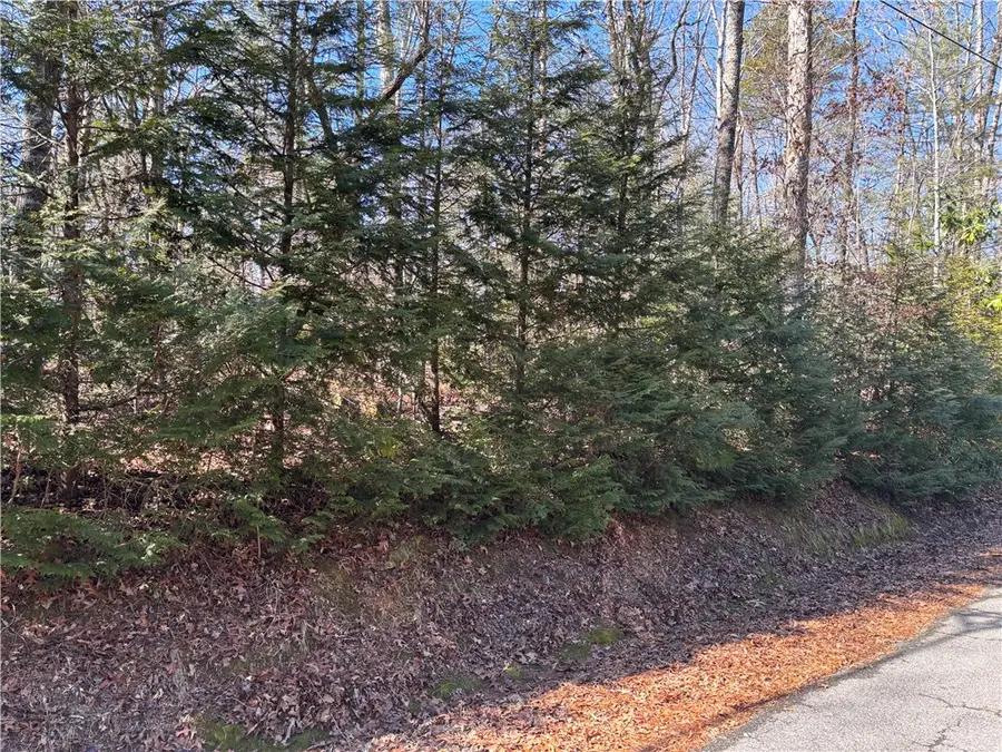 686 W Cove Drive, Mountain Rest, SC 29664 - #3