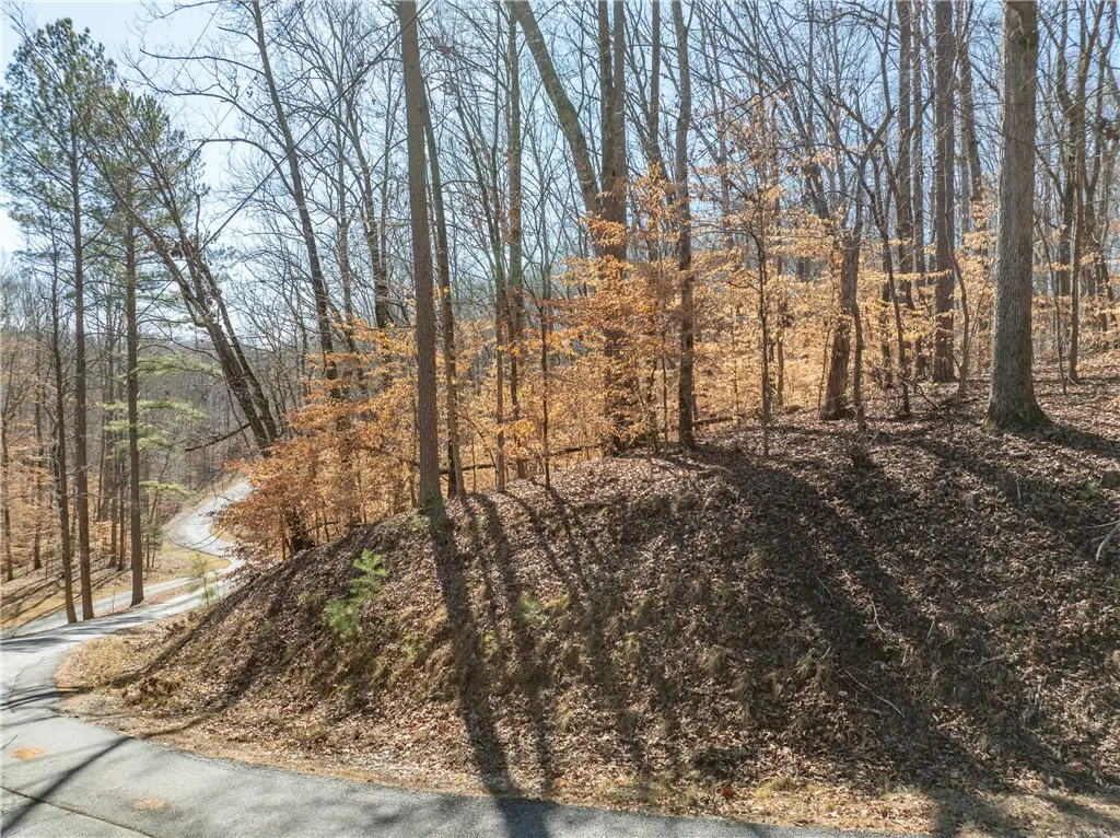 Lot 664 S Sundew Drive, Westminster, SC 29693 - #1