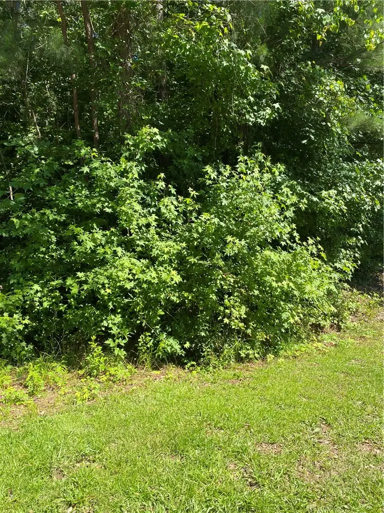 118 Augusta National Drive, Anderson, SC 29621 - Image #2