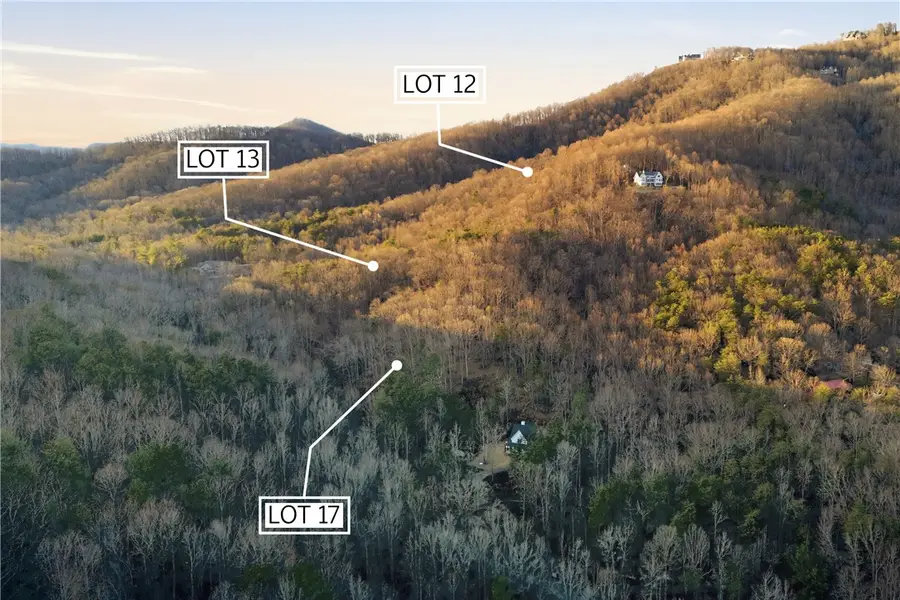Lot 17 Hidden Glory Drive, Landrum, SC 29356 - #3