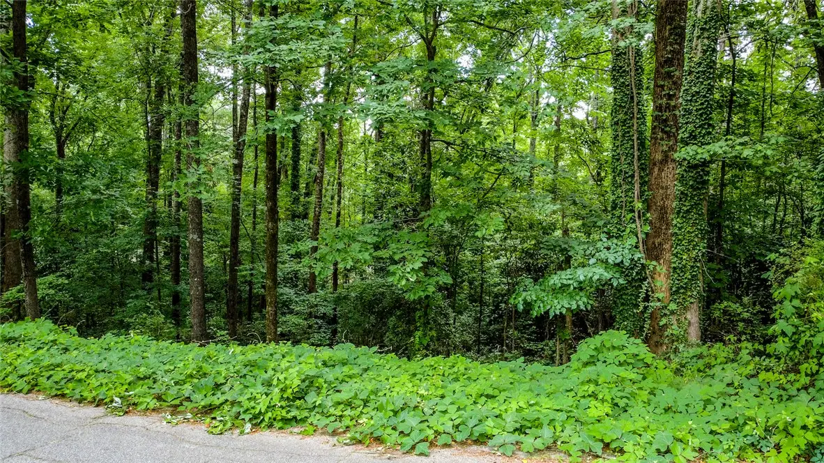 00 Westminster Drive #Lot 35, Pendleton, SC 29670 - #1