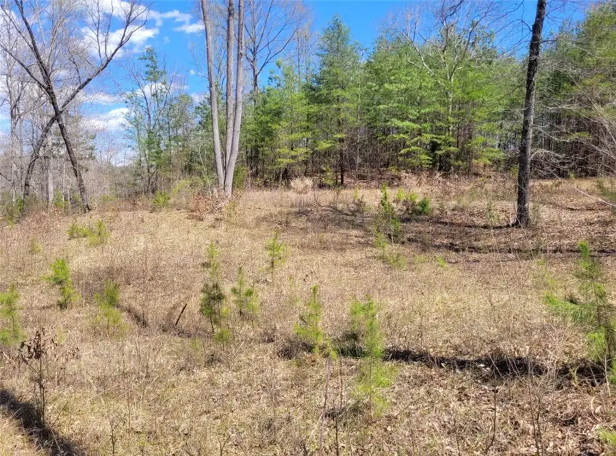 Lot 48 & 49 Stardust Lane, Seneca, SC 29672 - #2