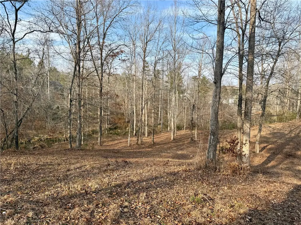 Lot 49 Stardust Lane, Seneca, SC 29672 - Image #1