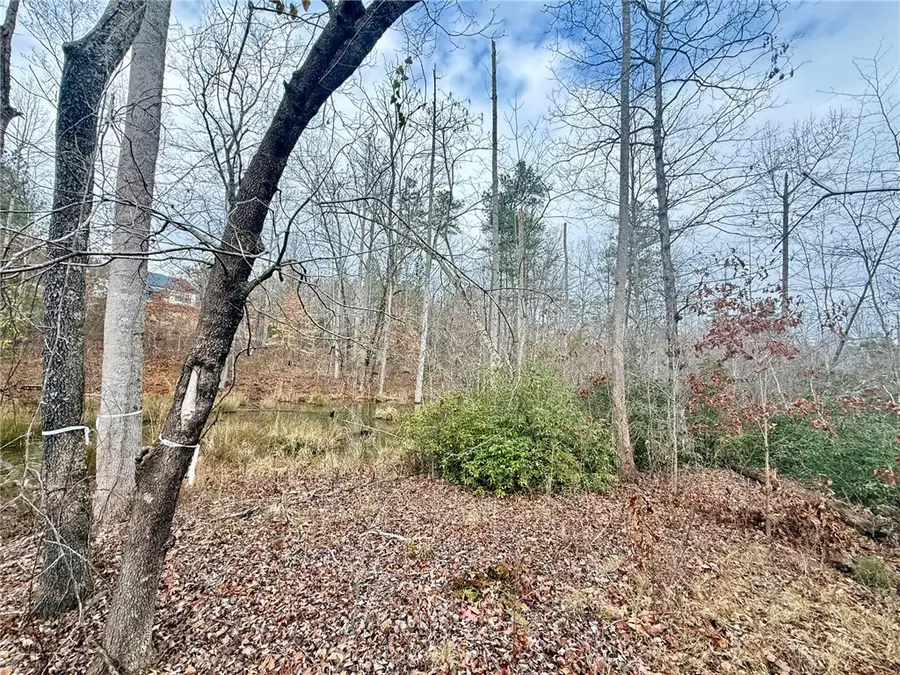 Lot 49 Stardust Lane, Seneca, SC 29672 - Image #3