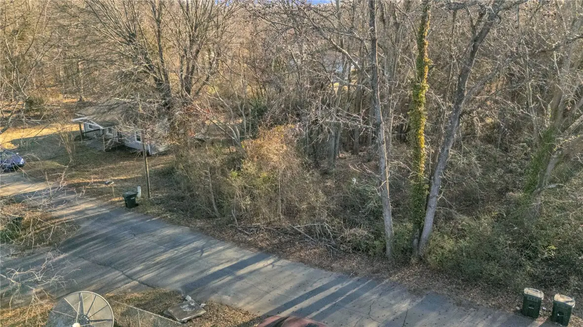 214 Wilson Street, Greer, SC 29651 - #1