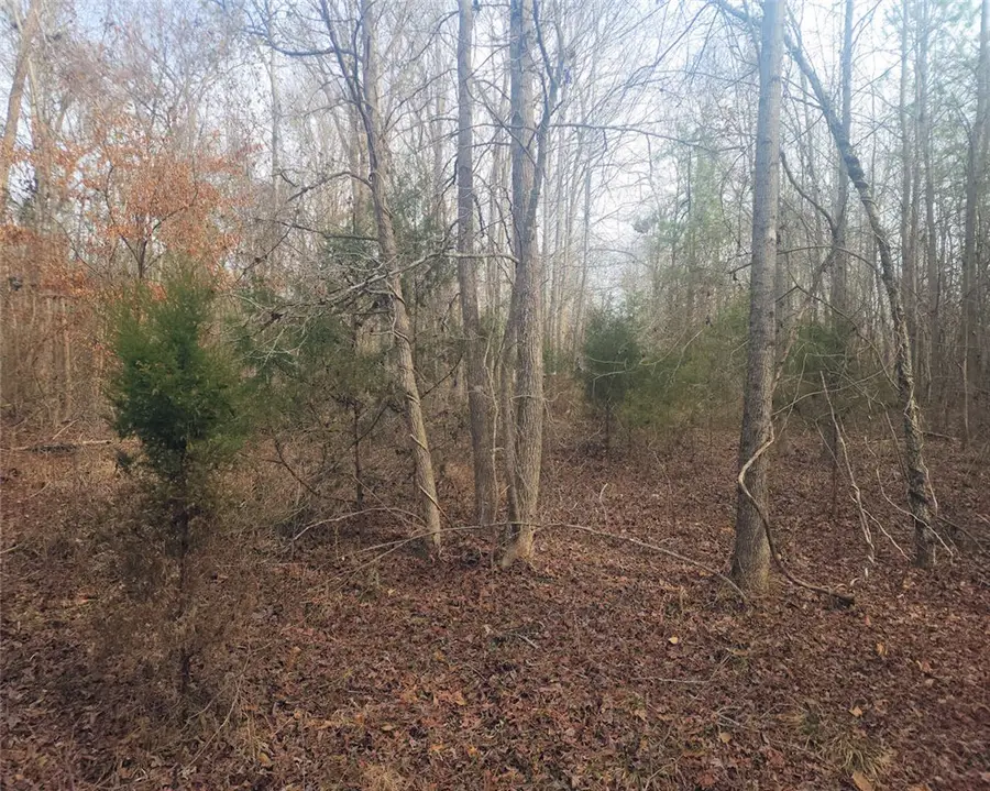 00 Todd Quarter Road, Waterloo, SC 29384 - Image #3