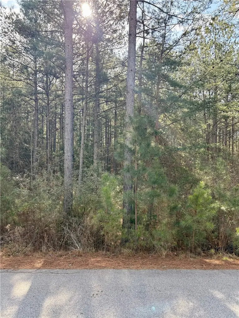 Lot 149 Peninsula Pointe #Watercrest Rd, West Union, SC 29696 - #3