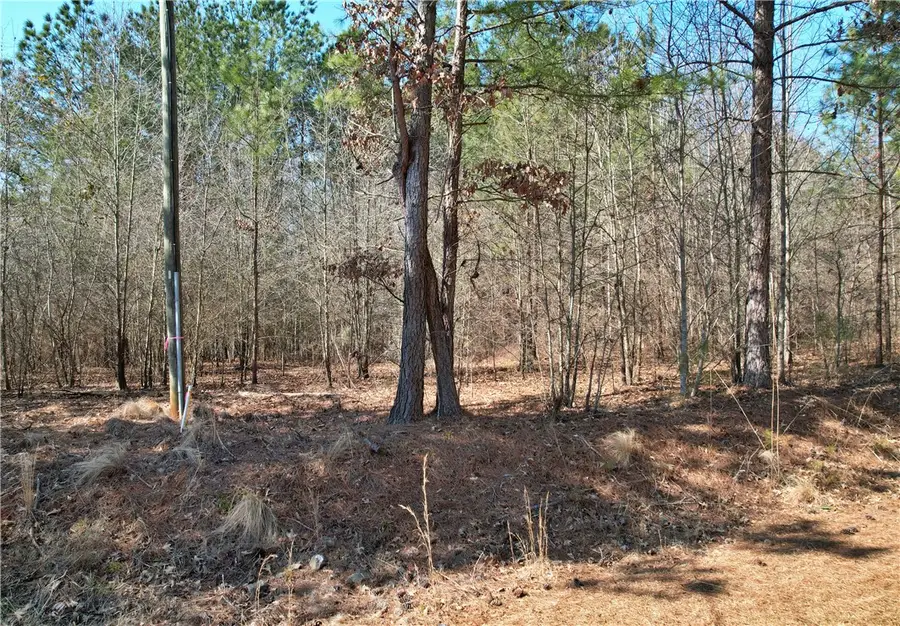 Lot 134 Mcalister Road, West Union, SC 29696 - #2