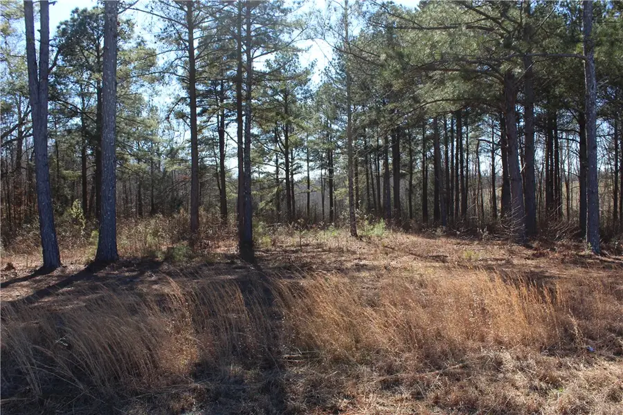 00 Good Hope Church Road, Starr, SC 29684 - #3