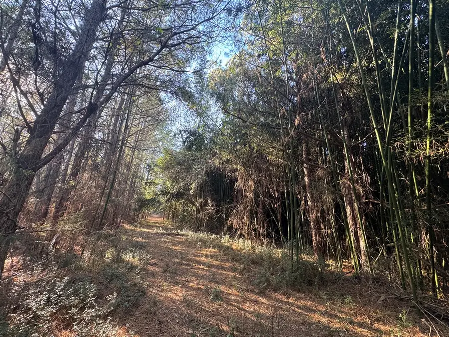 61 Highway 145, Eastanollee, GA 30538 - #2