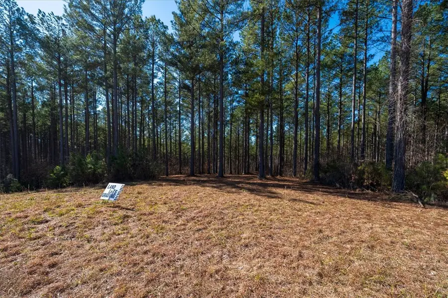 Lot 68 Nimmons Bridge Road, Salem, SC 29676 - #3