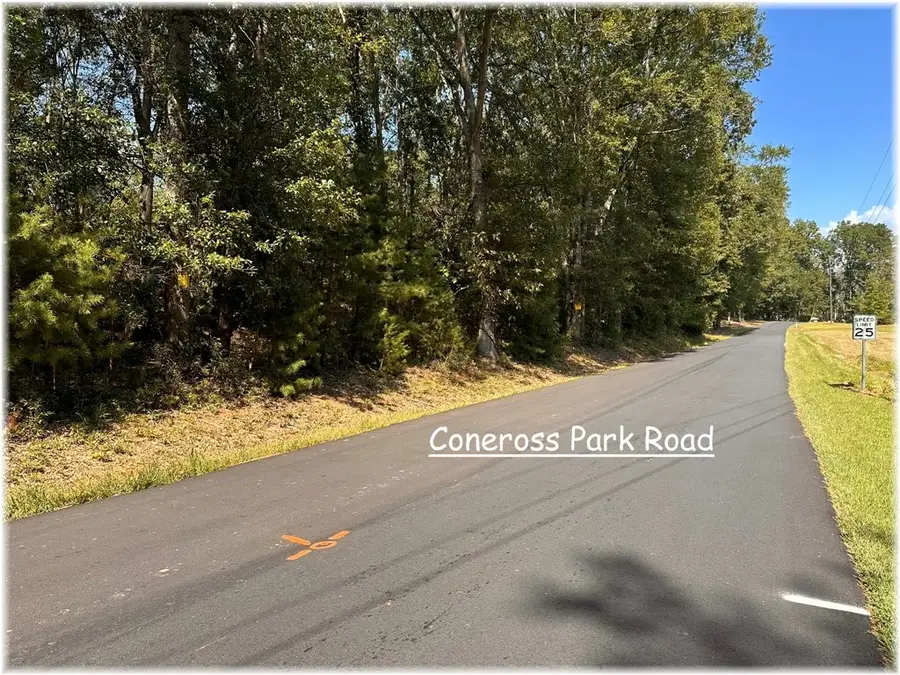 001 Coneross Park Road, Townville, SC 29689 - #3