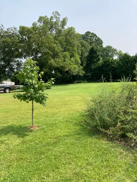 302 Bleckley Street, Anderson, SC 29625