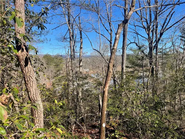 305 Whitewater Lake Road, Tamassee, SC 29686